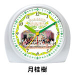SE-C28Chiiku-S